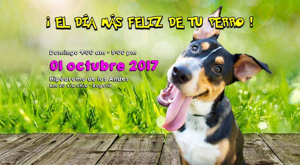  Llega el primer festival para perros en Bogotá Dog Fest