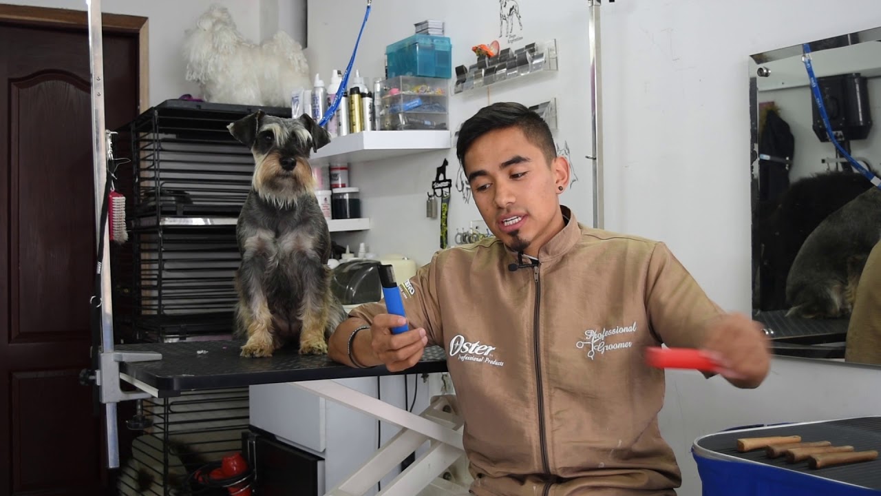  Técnica de stripping en peluquería canina
