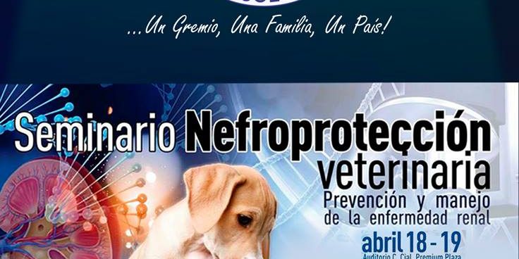  Seminario Nefroprotección veterinaria – VEPA Antioquia