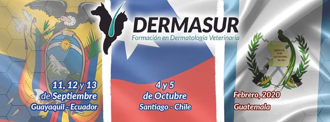  Dermasur formación en dermatología veterinaria