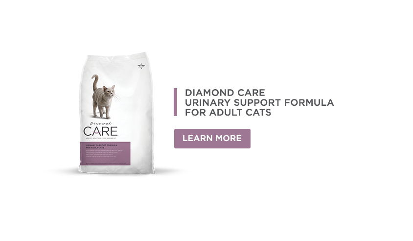  Próximamente en Colombia Diamond Care Urinary Support fórmula for adult cats