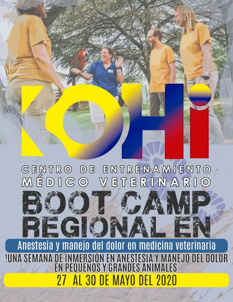  Boot Camp Regional en Anestesia y Manejo del Dolor en Medicina Veterinaria