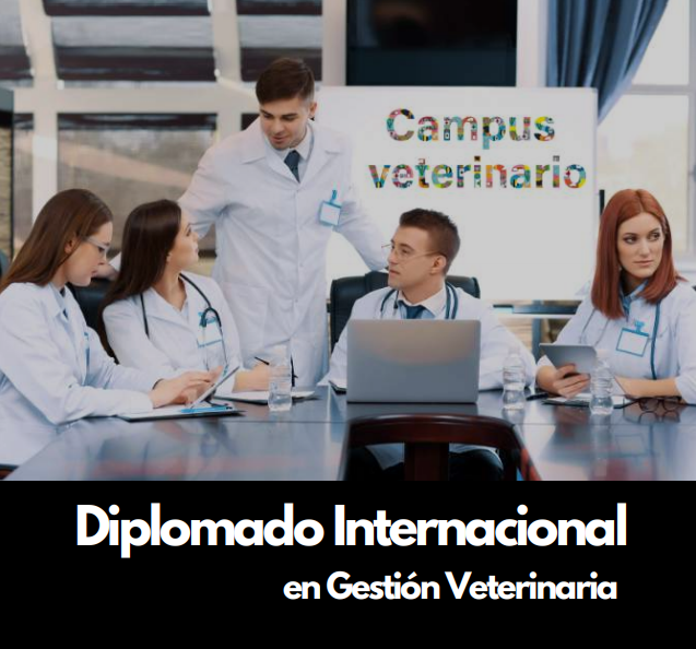  Diplomado Internacional en Gestión Veterinaria