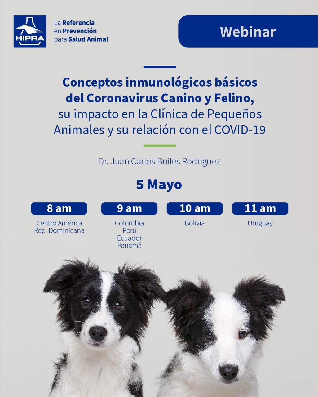  Webinar conceptos inmunológicos básicos del Coronavirus Canino y Felino