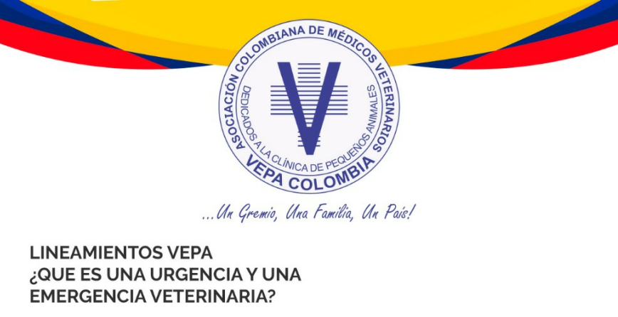 ¿Qué es una urgencias y una emergencia veterinaria? Lineamientos VEPA
