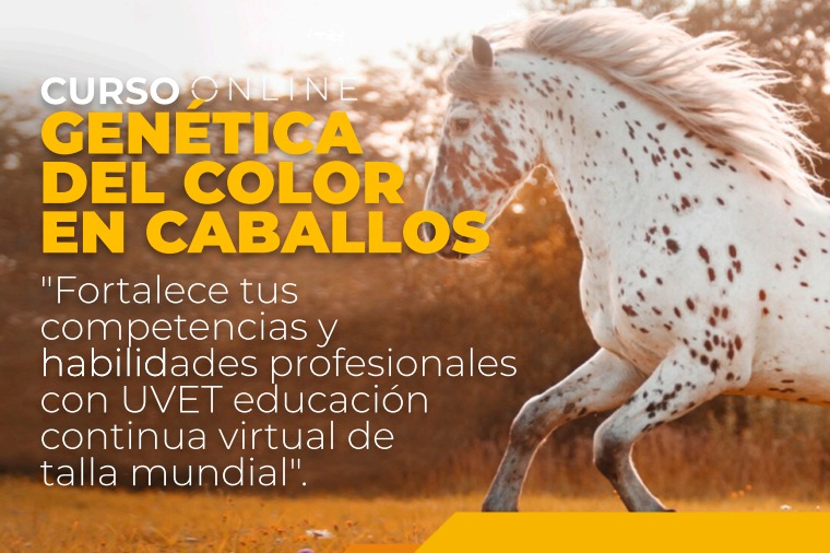  Génetica del color en caballos