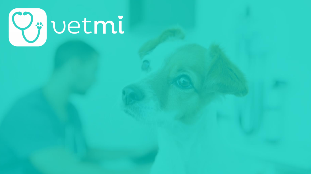  VETMI, un aliado de los médicos veterinarios