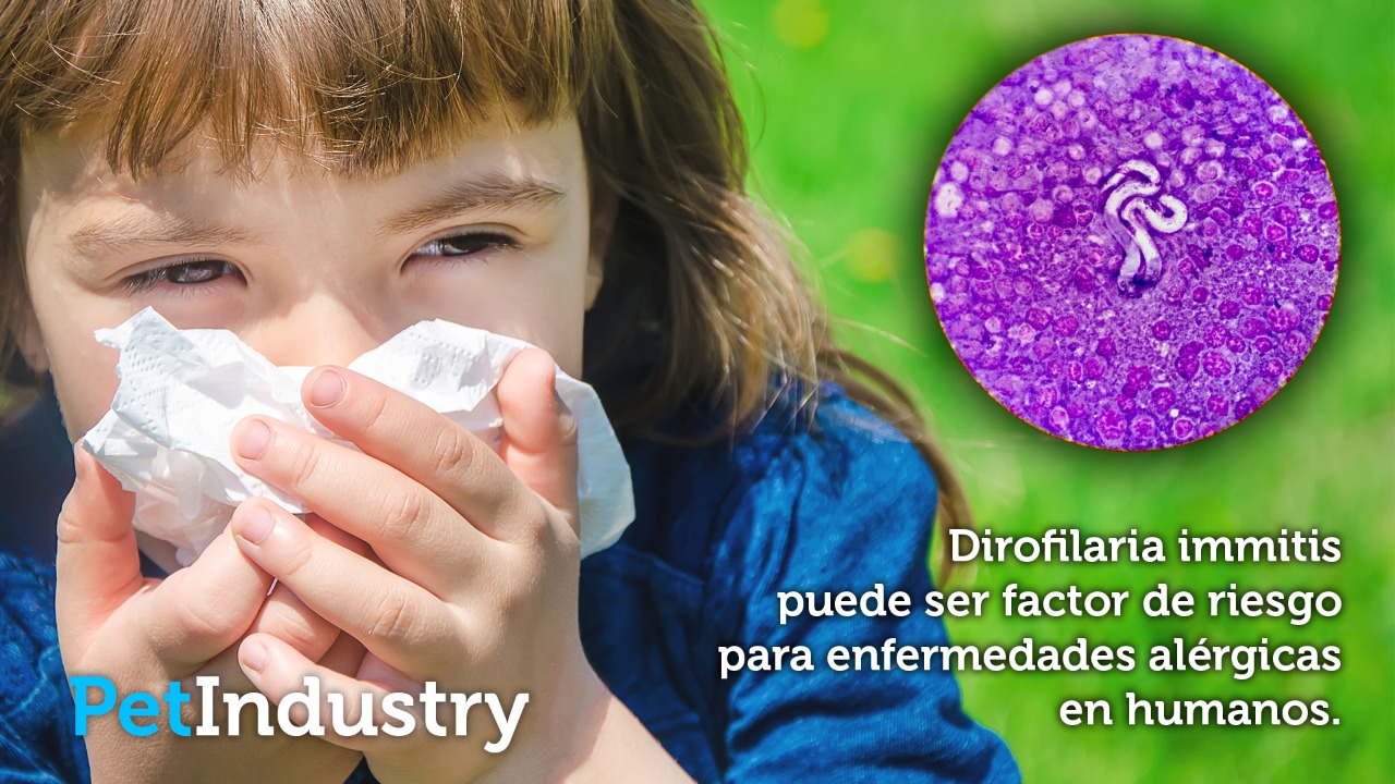 Dirofilaria immitis puede ser factor de riesgo para enfermedades alérgicas en humanos