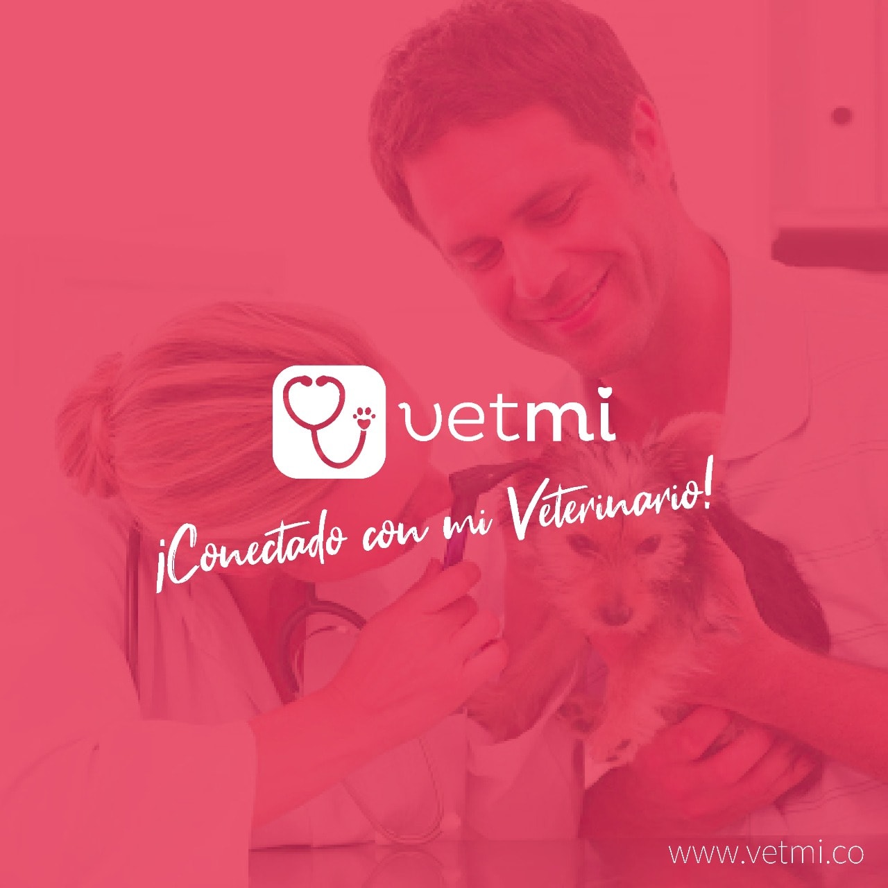  VetMi, un aliado de los Médicos Veterinarios
