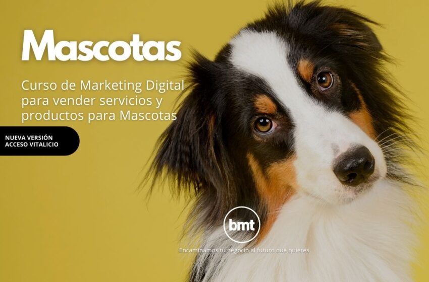  Curso de Marketing Digital para vender productos y servicios para Mascotas