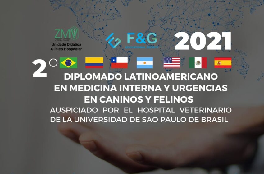 Diplomado latinoamericano en medicina interna y urgencias en caninos y felinos