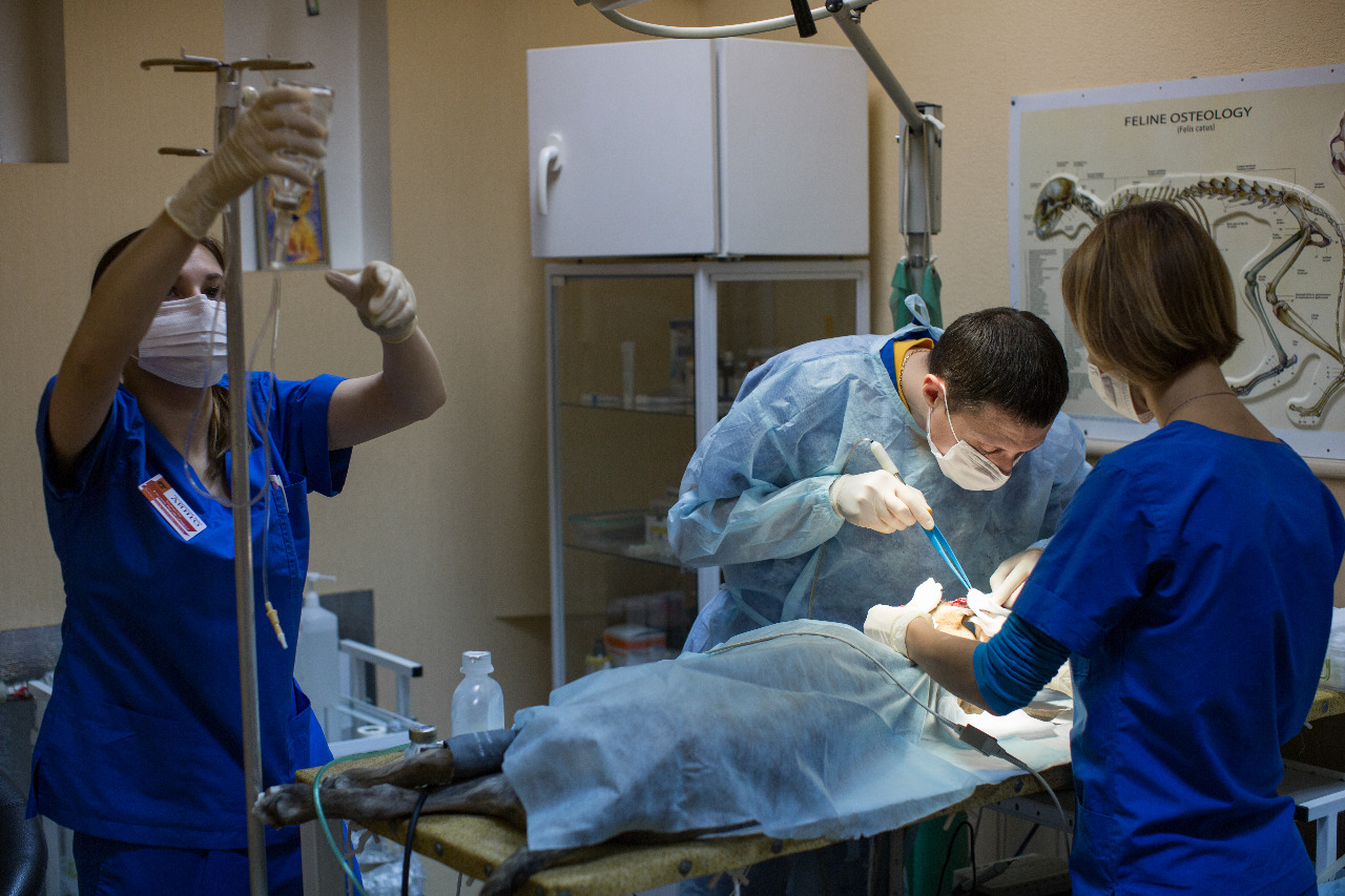  Casos clínicos exitosos en biopsia a través de uretra para pequeños diámetros uretrales