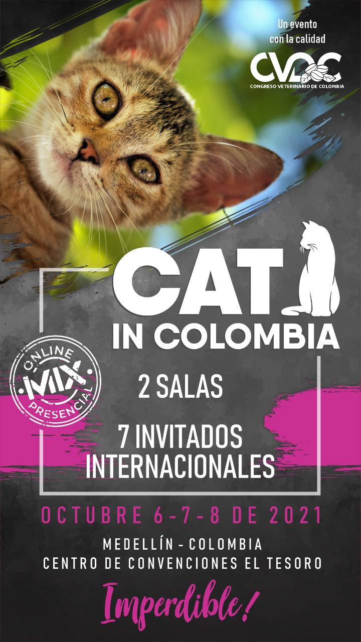 Cat in Colombia, el evento de talla internacional que se realizará en Colombia