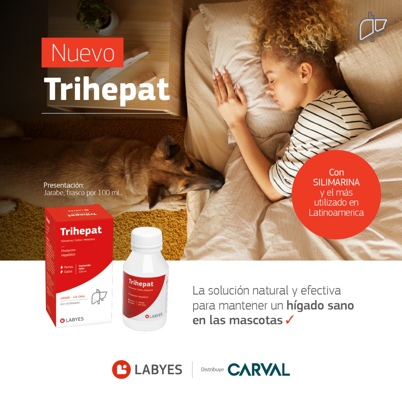  Trihepat de Carval: la solución para el hígado sano de las mascotas