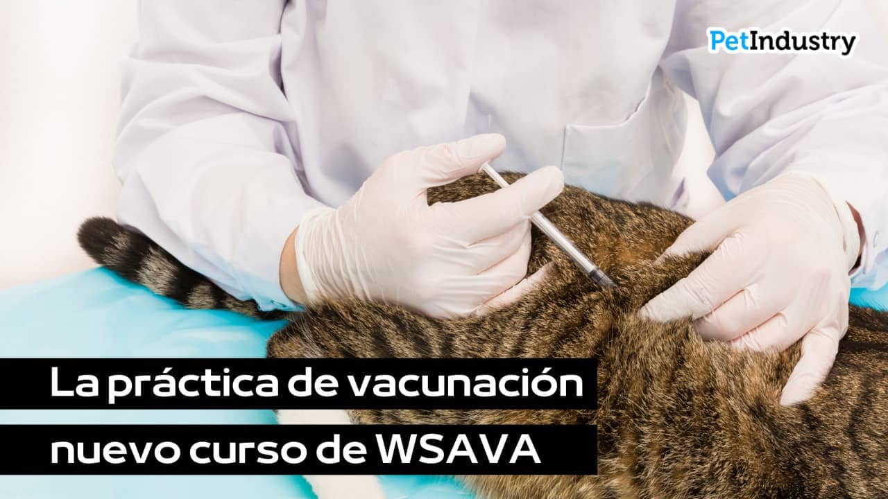  La práctica de vacunación – nuevo curso de WSAVA
