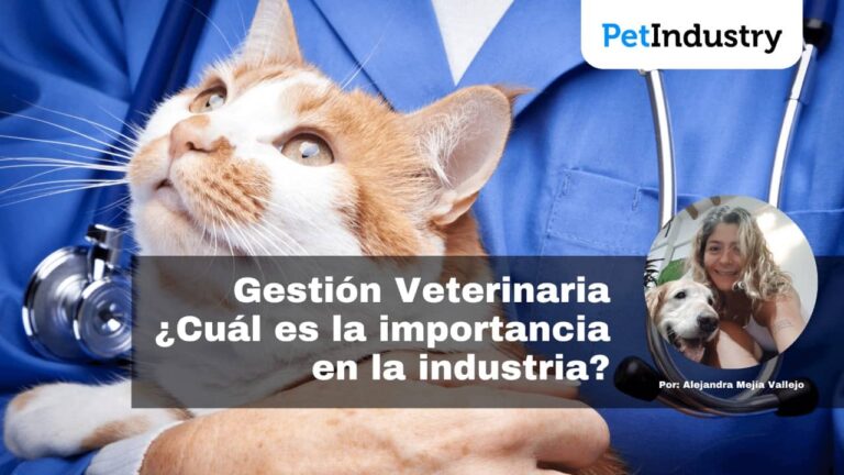 Gestión Veterinaria Cuál Es La Importancia En La Industria Alejandra Mejia Vallejo Clinica 2618