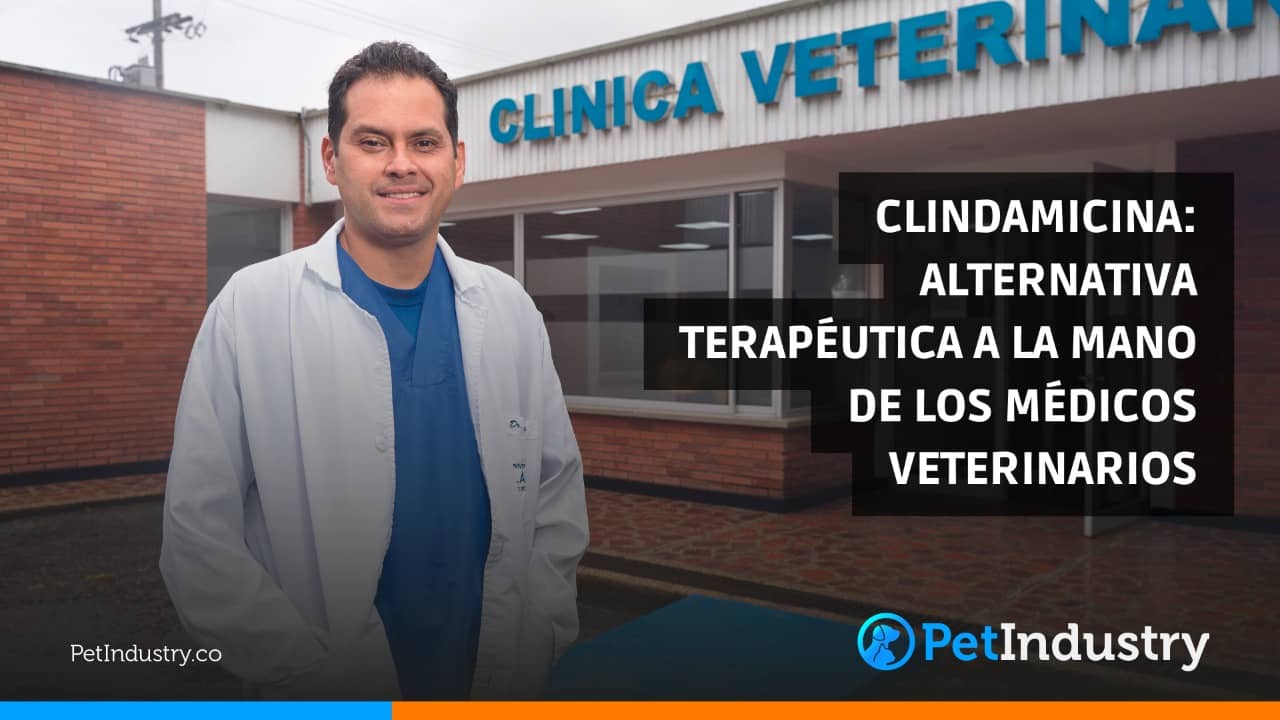  Clindamicina: Alternativa terapéutica a la mano de los médicos veterinarios