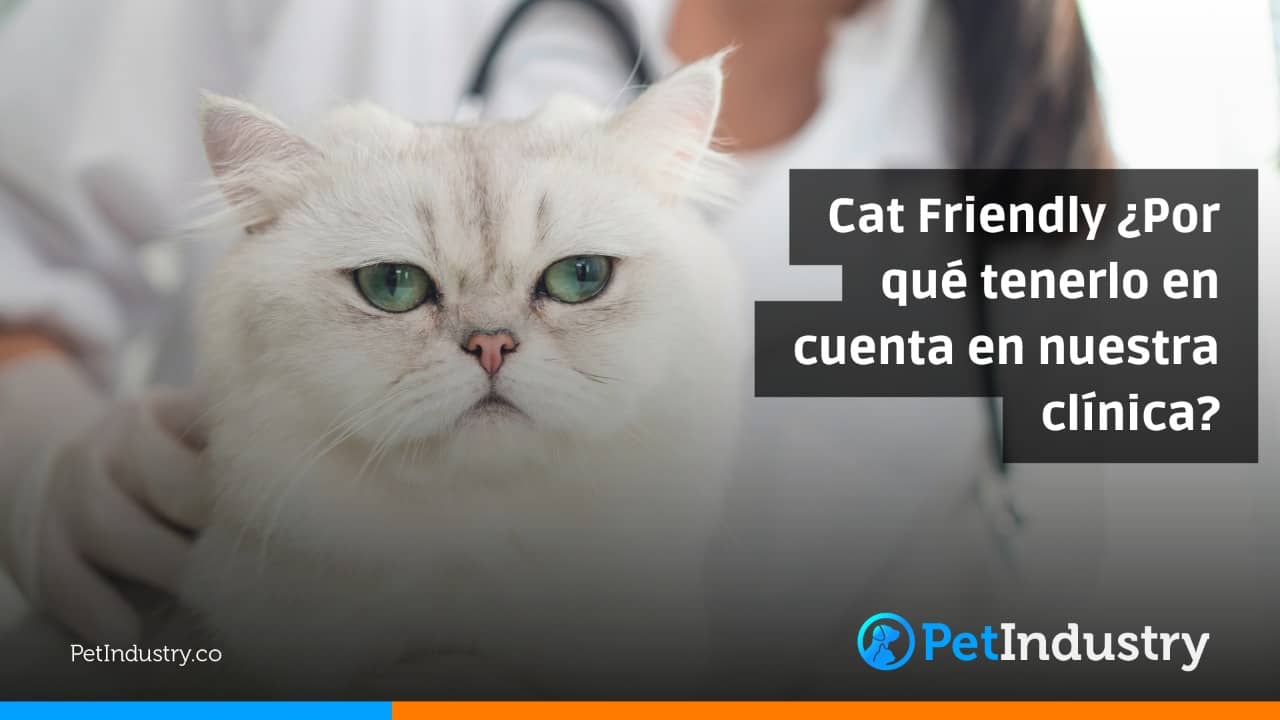  Cat Friendly ¿Por qué tenerlo en cuenta en nuestra clínica?