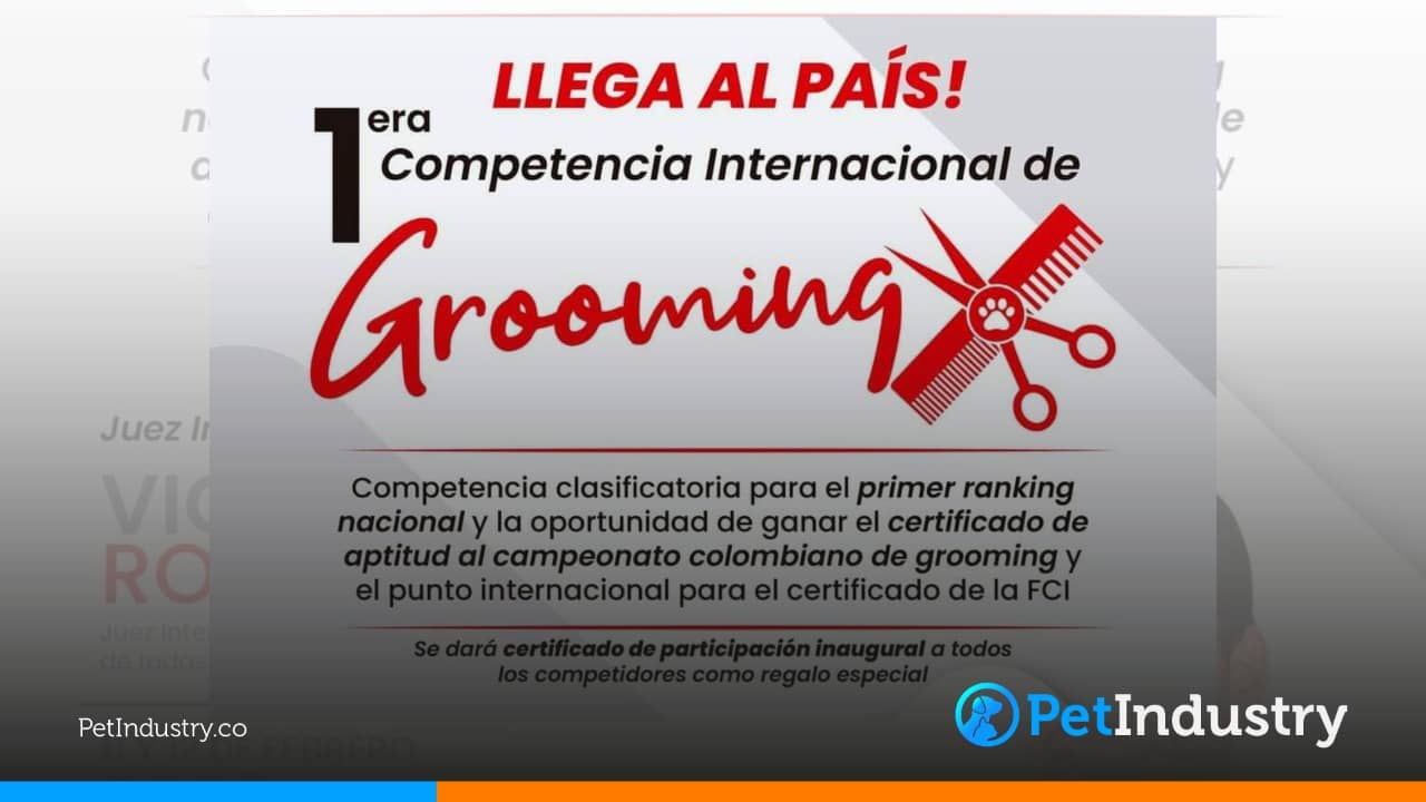 1era Competencia Internacional de Grooming