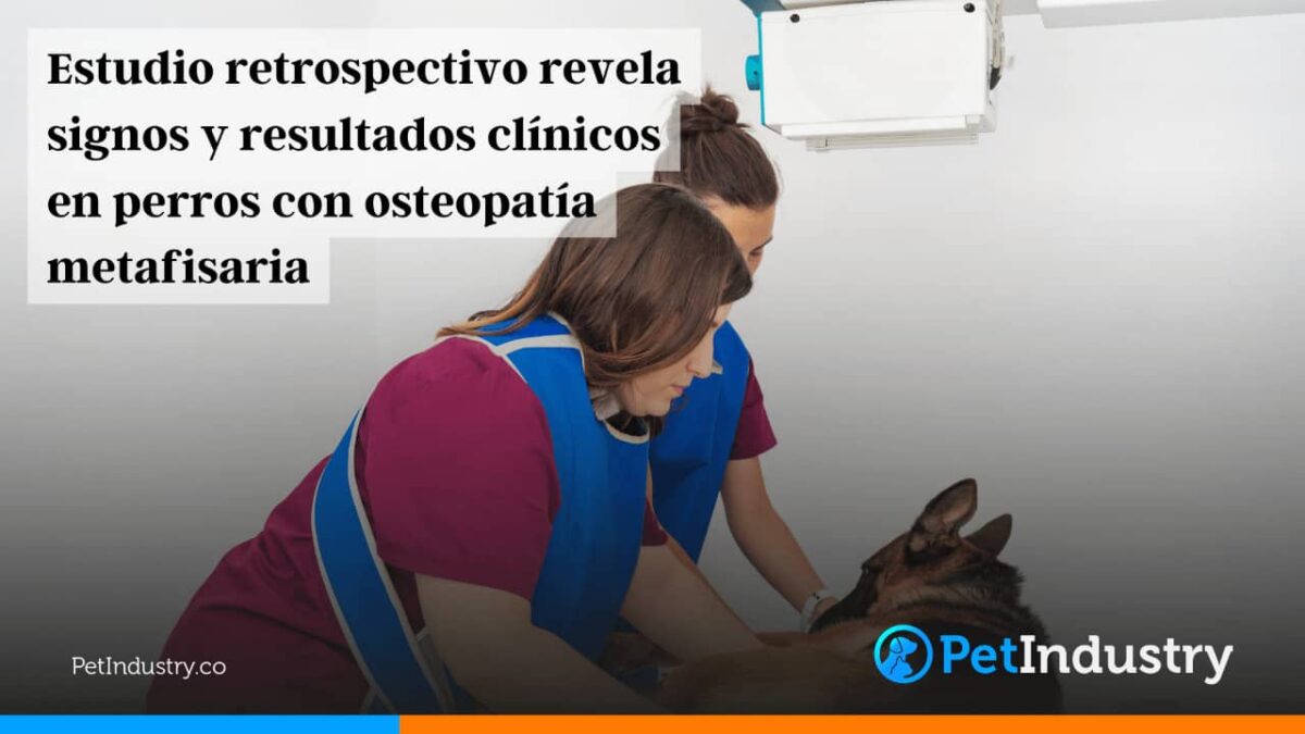  Estudio retrospectivo revela signos y resultados clínicos en perros con osteopatía metafisaria