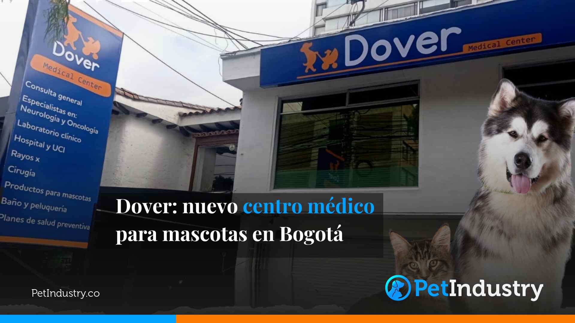 Dover: nuevo centro médico para mascotas en Bogotá