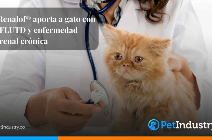  Renalof® aporta a gato con FLUTD y enfermedad renal crónica