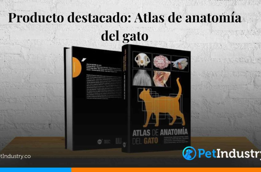  Producto destacado: Atlas de anatomía del gato