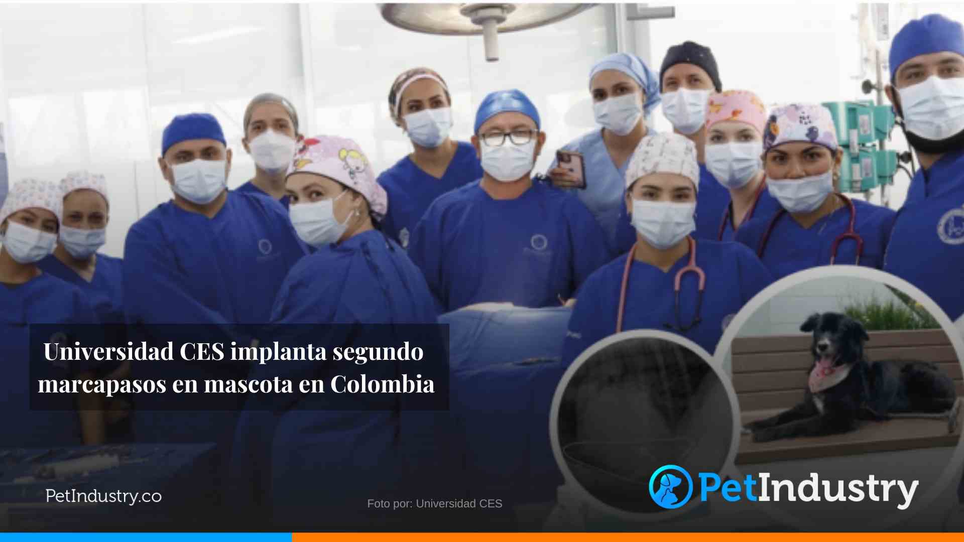 -Universidad-CESPet-Industry-Medicina-Veterinaria-Clinica-Mascotas-Perros-Gato