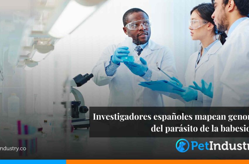  Investigadores españoles mapean genoma del parásito de la babesiosis