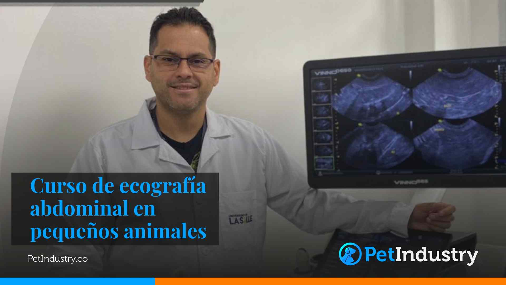 Curso-de-ecografia-abdominal-en-perros-y-gatos-Pet-Industry