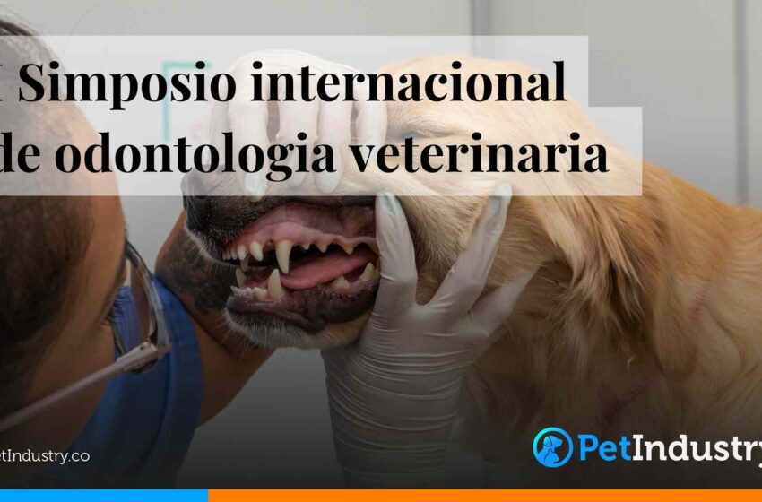 I-Simposio-internacional-de-odontologia-veterinaria-petindustry