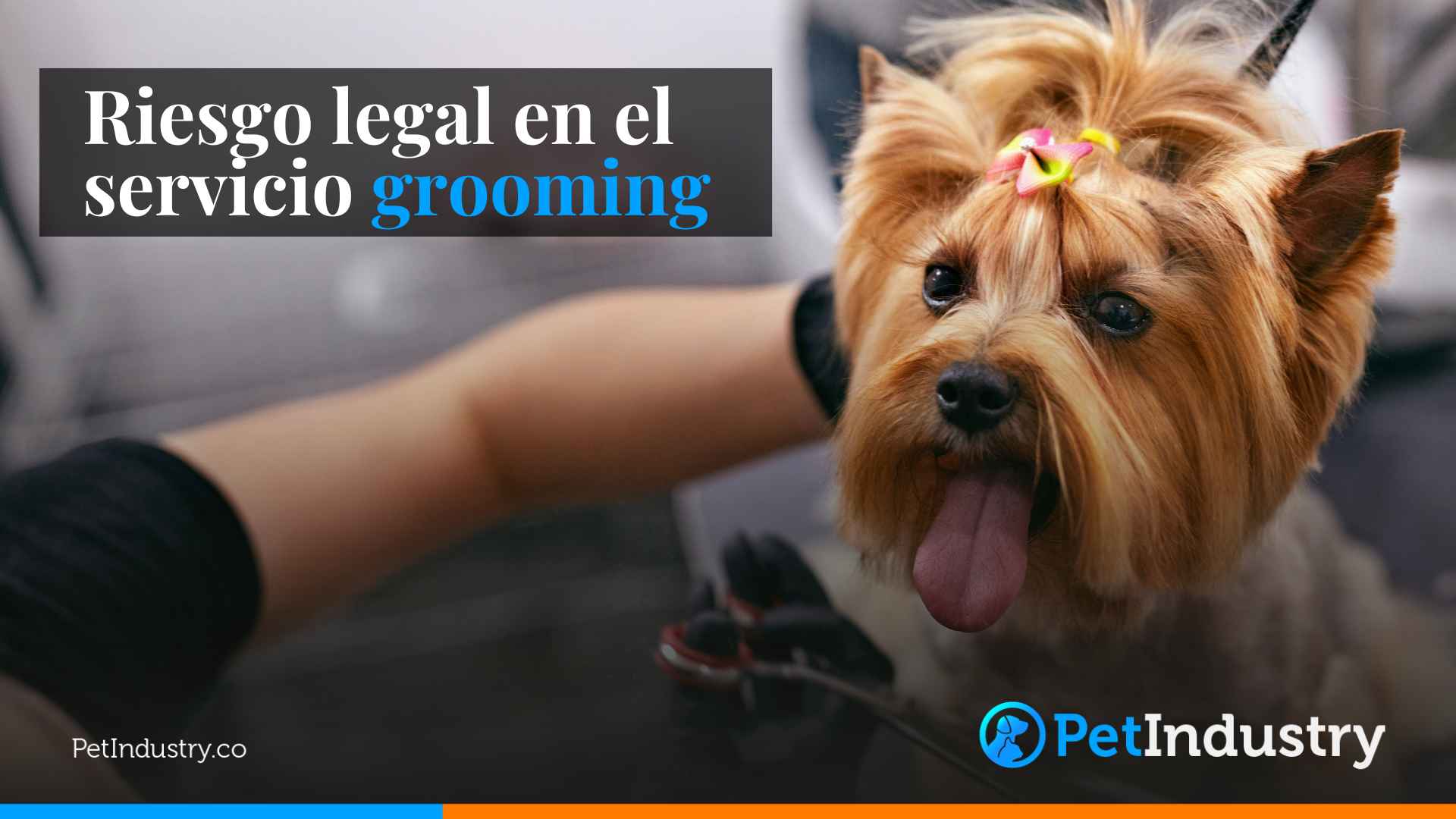 Riesgo legal en el servicio grooming