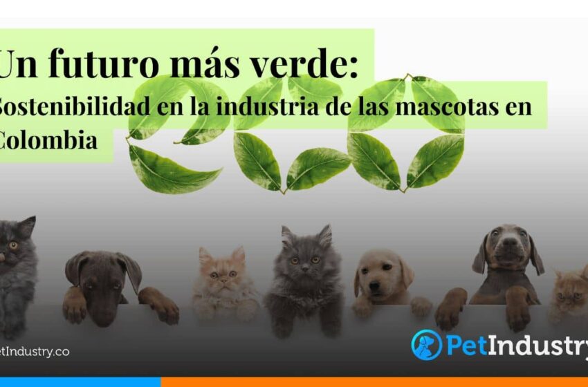  Un futuro más verde: Sostenibilidad en la industria de las mascotas en Colombia