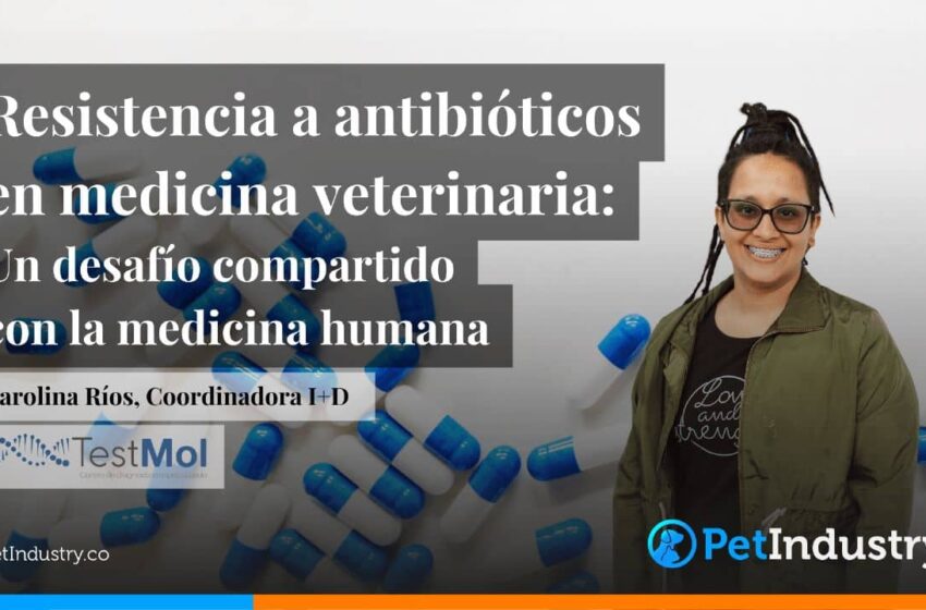  Resistencia a antibióticos en medicina veterinaria: Un desafío compartido con la medicina humana