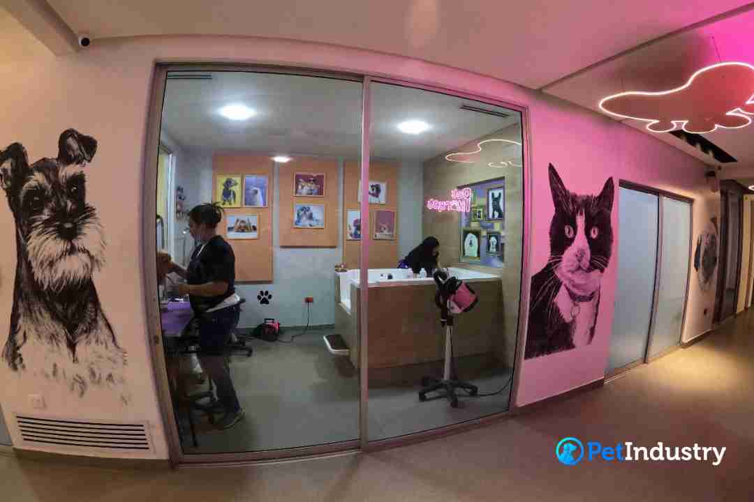 DelaspasarelasalasmascotasPethouseBoutiqueSpa3 Pet Industry