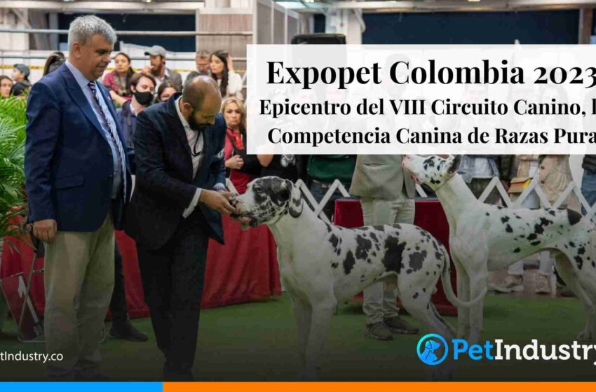  Expopet Colombia 2023: Epicentro del VIII Circuito Canino, la Competencia Canina de Razas Puras