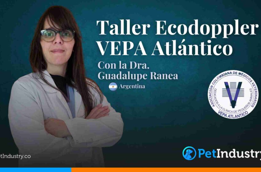  Taller Ecodoppler VEPA Atlántico Liderado por la Dra. Guadalupe Ranea de Argentina