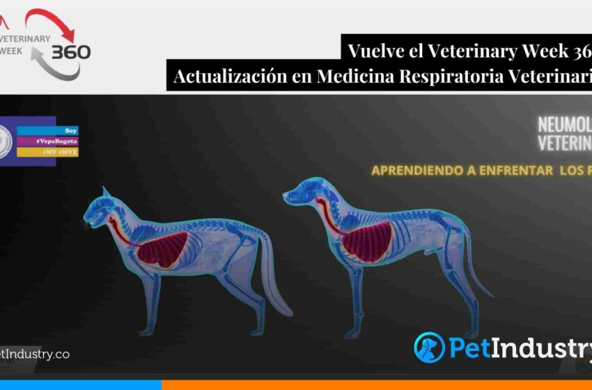  Vuelve el Veterinary Week 360:Actualización en Medicina Respiratoria Veterinaria