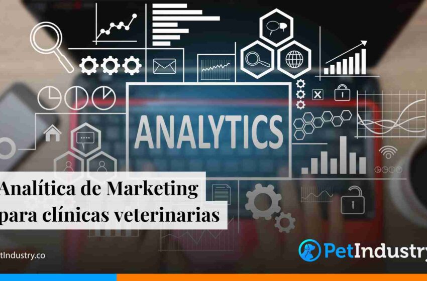  Analítica de Marketing para clínicas veterinarias