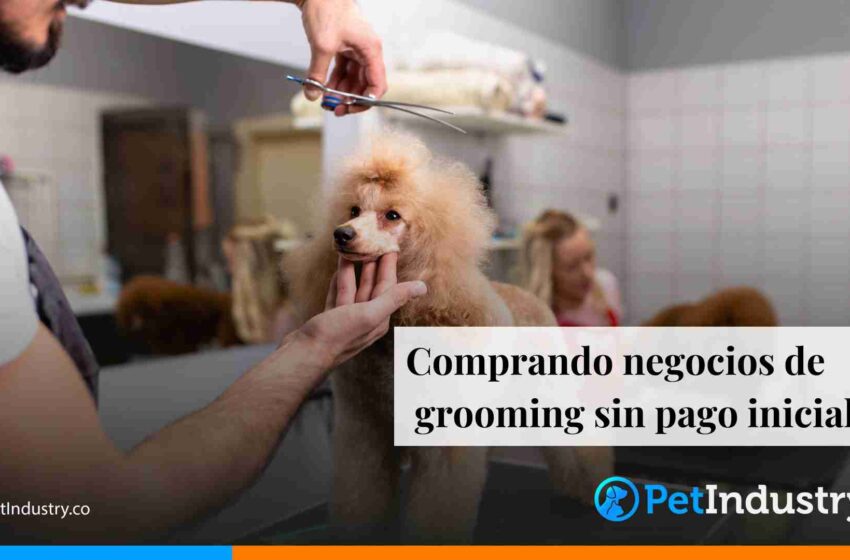  Comprando negocios de grooming sin pago inicial
