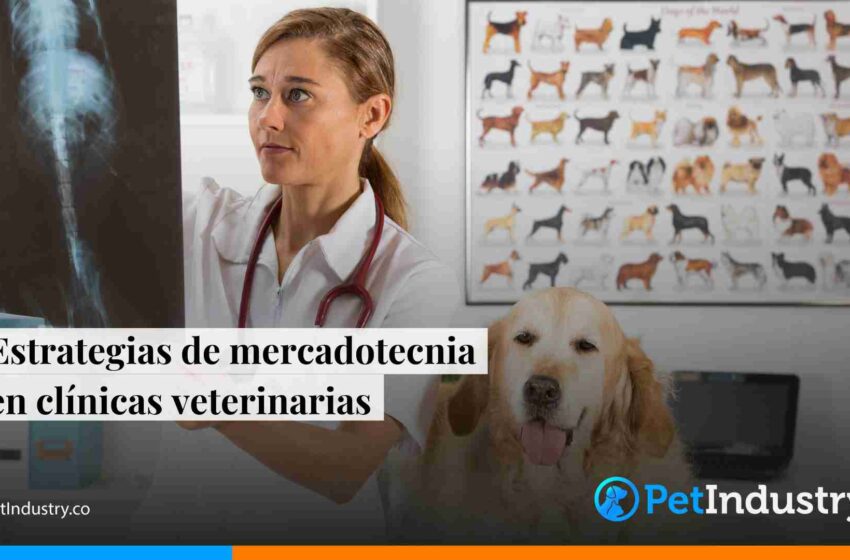  Estrategias de mercadotecnia en clínicas veterinarias