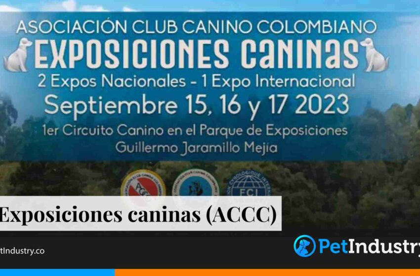  Exposiciones caninas (ACCC)