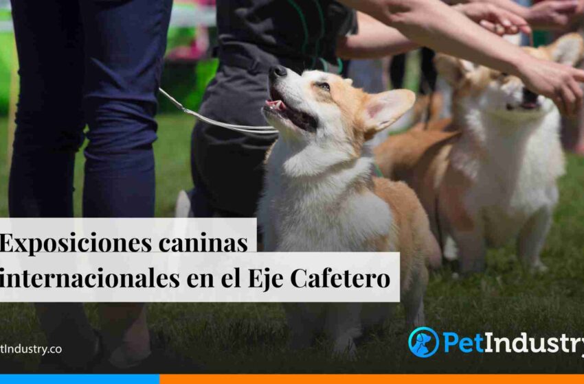  Exposiciones caninas internacionales en el Eje Cafetero