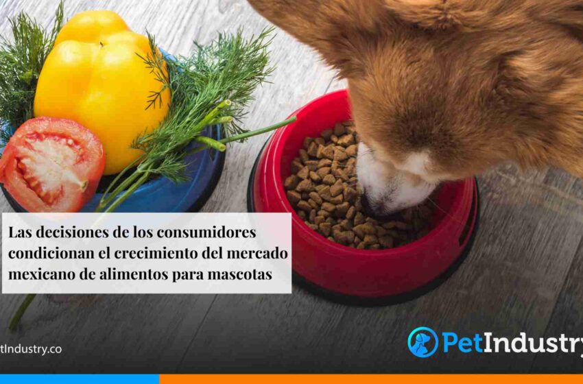  Las decisiones de los consumidores condicionan el crecimiento del mercado mexicano de alimentos para mascotas