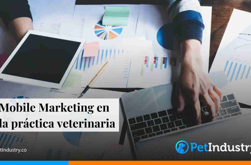  Mobile Marketing en la práctica veterinaria