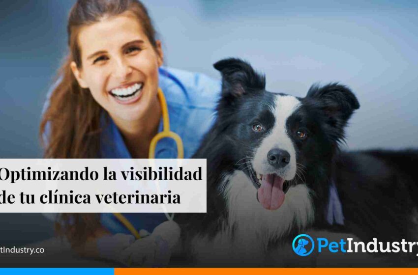  Optimizando la visibilidad de tu clínica veterinaria