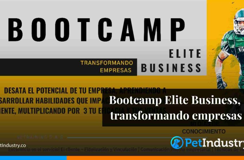  Bootcamp Elite Business, transformando empresas