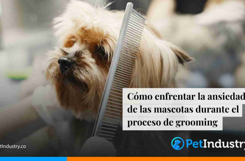  Cómo enfrentar la ansiedad de las mascotas durante el proceso de grooming 