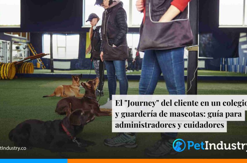  El «Journey» del cliente en un colegio y guardería de mascotas: guía para administradores y cuidadores 