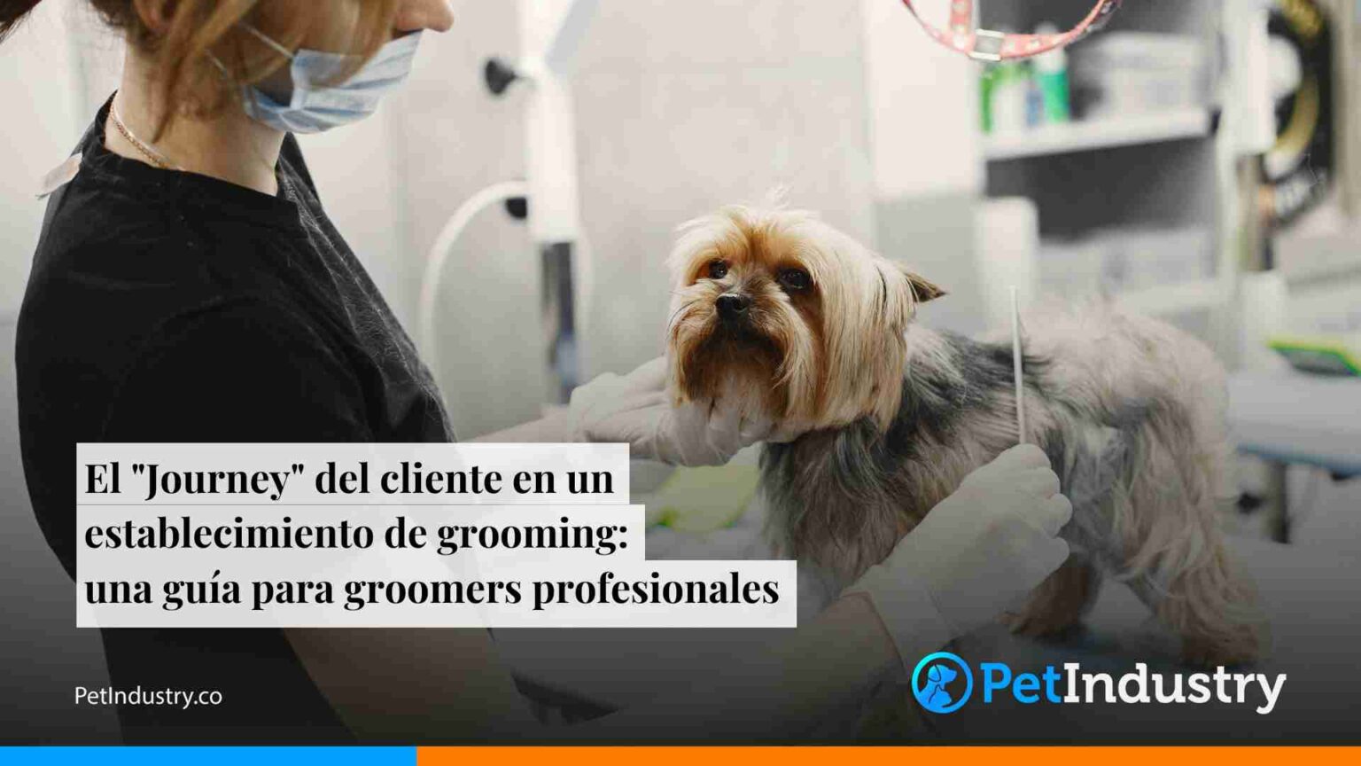 El Journey del cliente en un establecimiento de grooming una guía para